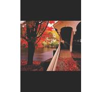 Le roman d'un jeune homme pauvre: Roman