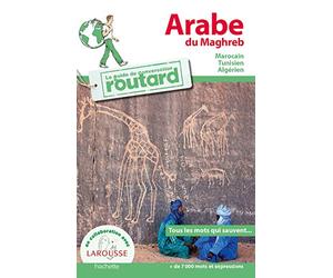 Le Routard Guide de conversation Arabe du Maghreb