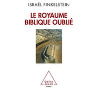 Israël Finkelstein – Le Royaume biblique oublié – Essai – Broché
