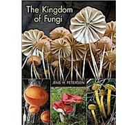 Le royaume des champignons