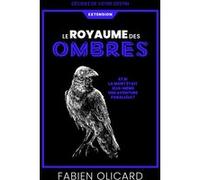 Le Royaume des Ombres - Extension - Décidez de votre destin - La Saga de Dagda - Fabien Olicard - livre jeu