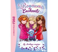 Le Royaume Enchanté 05 - La Montagne magique