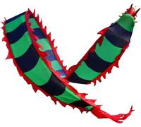 Le ruban du dragon, Plusieurs tailles multicolores de modèle ruban danse dragon for la forme physique extérieure parc(Green,10m/32.8ft)