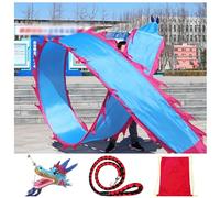 Le ruban du dragon, Ruban de fitness Dragon Dance avec tête dragon multicolore 6-12M(Blue,12M)