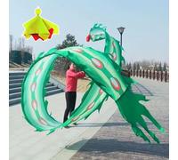 Le ruban du dragon, Rubans de danse du Dragon multicolores, 6M, 8M, 10M, 12M, plumes phénix, ruban Fitness avec balle pondérée, sac voyage(Green,10M)