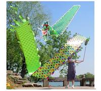 Le ruban du dragon, Rubans Poi de danse du Dragon avec tête multicolore 6M 8M 10M(Green,6M)
