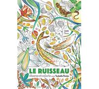 Le Ruisseau - Isabelle Simler - Courtes Et Longues - broché - Document jeunesse