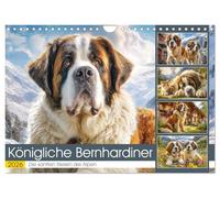 Le Saint-Bernard royal. Les doux géants des Alpes, Version française (Calendrier mural 2026 DIN A4 portrait), Calendrier CALVENDO mensuel