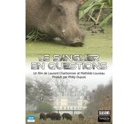 Le Sanglier En Questions