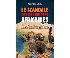 Le scandale des ressources africaines: Pourquoi l'Afrique extrait sans transformer causes historiques politiques économiques ?