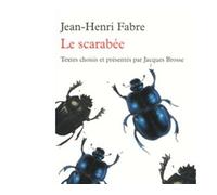 Le scarabée - Jean-Henri Fabre - Table ronde - Poche - Essai