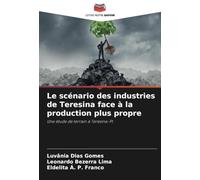 Le scénario des industries de Teresina face à la production plus propre: Une étude de terrain à Teresina-PI