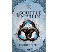Le secret des Druides: Le souffle de Merlin