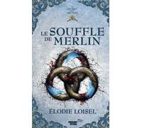 Le secret des Druides, tome 3 Le souffle de Merlin - Elodie Loisel - Punchlines Eds - broché - Roman adolescent