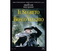 Il Segreto Del Bosco Vecchio [Import]