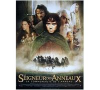 Le Seigneur des anneaux Affiche Cinéma Originale ROULEE (Petit Format 53x40 cm) 2001 Peter Jackson Elijah Wood Viggo Mortensen RARE Version Roulée