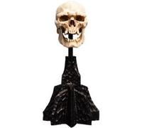 Le Seigneur des Anneaux - Statuette Skull of a Mordor Orc 14 cm Noir G