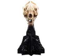 Weta - Le Seigneur des Anneaux - Skull of Warg - LOTR