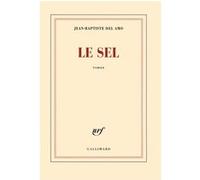 Jean-Baptiste Del Amo – Le sel – Gallimard