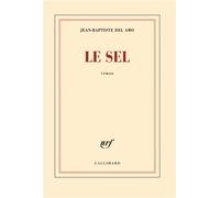 Jean-Baptiste Del Amo – Le sel – Gallimard