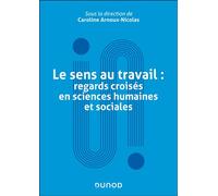 Le sens au travail : regards croisés en sciences humaines et sociales - Caroline Arnoux-Nicolas - Dunod - broché - Essai