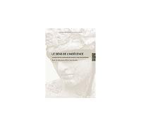 Le Sens de l'Indecence La Question de la Censure des Images - Eric Van Essche - Lettre Volee - broché - Essai