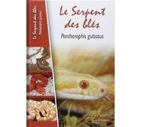 Le Serpent Des Blés - Pantherophis Guttatus