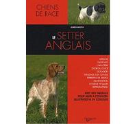 Le setter anglais