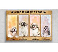 Le Shih Tzu N'Est Pas Qu'Un Simple Chien. Il Est Synonyme De Sérénité, De Bonheur, De Réconfort Et D'Amitié. Plaque Étain Signe Vintage Affiche Poster Plaque Rétro Métallique Panneau S