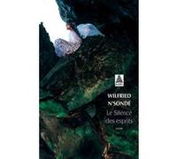 Le Silence des esprits Wilfried N'Sondé (Auteur)
