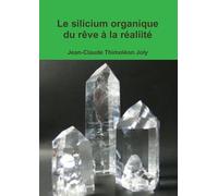 Le silicium organique du rêve à la réaliité