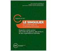 Le Singulier En Comptabilité, Contrôle Et Audit - Regards Croisés Autour Des Outils De Gestion, Des Acteurs Et Des Organisations Hybrides