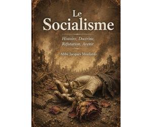 Le Socialisme: Histoire, Doctrine, Réfutation, Avenir