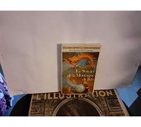 Le Sorcier de la montagne de feu