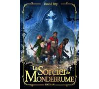 David Bry – Le sorcier de Mondebrume – Roman médiéval-fantastique sombre pour ado – Broché