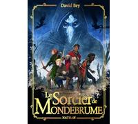 Le sorcier de Mondebrume - Roman médiéval-fantastique épique et sombre pour ado