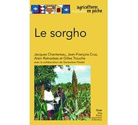 Le sorgho