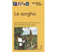 Le sorgho