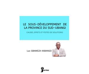 LE SOUS-DÉVELOPPEMENT DE LA PROVINCE DU SUD-UBANGI (CAUSES, EFFETS ET PISTES DE SOLUTIONS)
