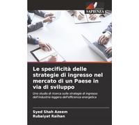 Le specificità delle strategie di ingresso nel mercato di un Paese in via di sviluppo: Uno studio di ricerca sulle strategie di ingresso dell'industria leggera dell'efficienza energetica