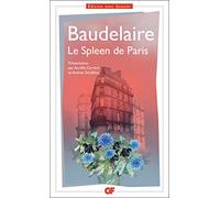 Le Spleen de Paris