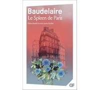 Le Spleen de Paris – Flammarion