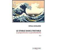 Le stable dans l'instable: Les pérégrinations d'un rescapé de Dien-Bien-Phu