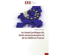 Le Statut Juridique Du Droit Communautaire Et De La Cedh En France