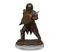 Le style de la figurine masculine Premium de Dungeons & Dragons Icons of the Rea