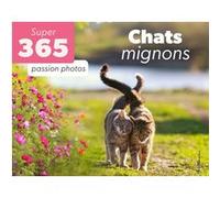 Le super 365 Chats mignons Collectif (Auteur)