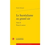 Le Surréalisme au grand air Emilie Fremond (Auteur), Didier Alexandre (Collection dirigée par)