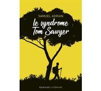 Le syndrome Tom Sawyer Georges Courade (Auteur)
