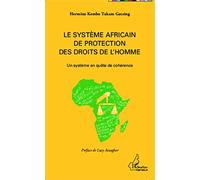 Le système africain de protection des droits de l'homme: Un système en quête de cohérence