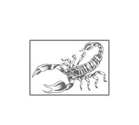 Le Tatouage Temporaire Scorpion Dure Jusqu’à 15 Jours, Autocollant Semi-permanent Imperméable Autocollants longue durée